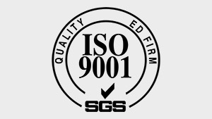 ISO 9001 certification logo